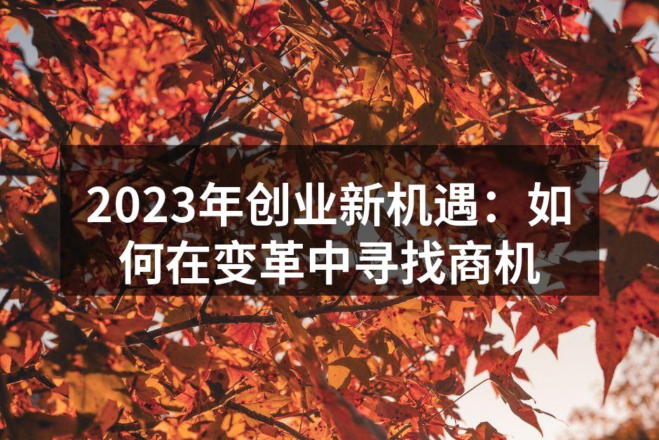 2023年创业新机遇：如何在变革中寻找商机